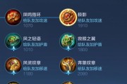 职业赛场老虎铭文出装攻略