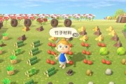 《动物之森》游戏大头菜赚钱攻略（玩家必看的10个技巧，轻松赚取财富）