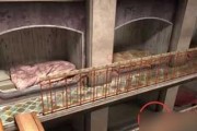 密室逃脱18第六关攻略（解锁机关，逃离密室）