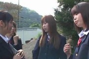旷野军团宠物技能搭配攻略（挑战旷野冒险，打造无敌宠物团队！）