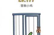 解密《脑洞大师》第62关的神秘密码（玩转游戏，轻松过关！）