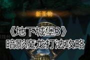 探寻地下城堡2——攻略远山庄园流程打法（一步步探索远山庄园，挑战各类BOSS，打败最终大BOSS！）
