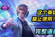 王者荣耀张良五级符文搭配攻略（推荐最佳张良五级铭文组合，助你轻松游戏）