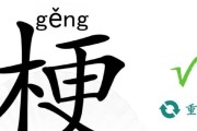 《汉字找茬王》游戏攻略解析（葱找出15个字通关攻略）