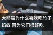 《以堕落天使中路出装攻略》（为你揭示堕落天使如何在中路发挥最大优势）