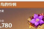 一步步教你打造最强菲谢尔，让他在战场上无敌！（一步步教你打造最强菲谢尔，让他在战场上无敌！）