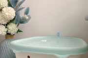 《收纳达人》游戏通关技巧大揭秘（化繁为简，轻松达成目标！）