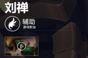 刘禅专业出装攻略（刘禅出装攻略，助你成为团队不可或缺的后排保护神）