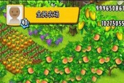 QQ农场采矿攻略（掌握采矿技巧，快速升级你的农场）