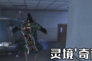 《灵境奇谭技能加点攻略》（成为绝世强者，掌握加点的精髓）