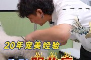 海岛纪元职业加点与宠物选择指南