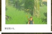 《探索荒野之息的奇妙世界》（打败怪物、寻找宝藏，你准备好了吗？）